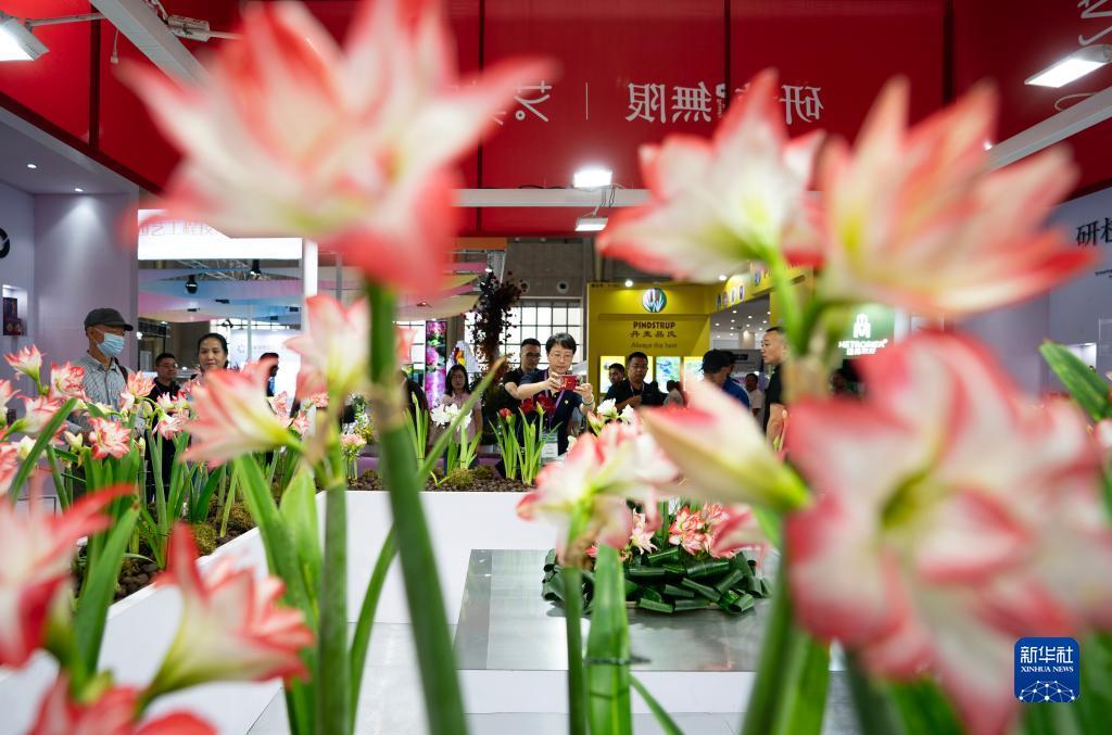 易游手机手机网页登录